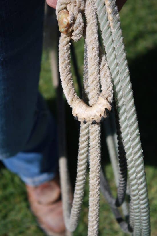 Hondas can come in a variety of different materials, including rawhide like the one pictured, metal and plastic.