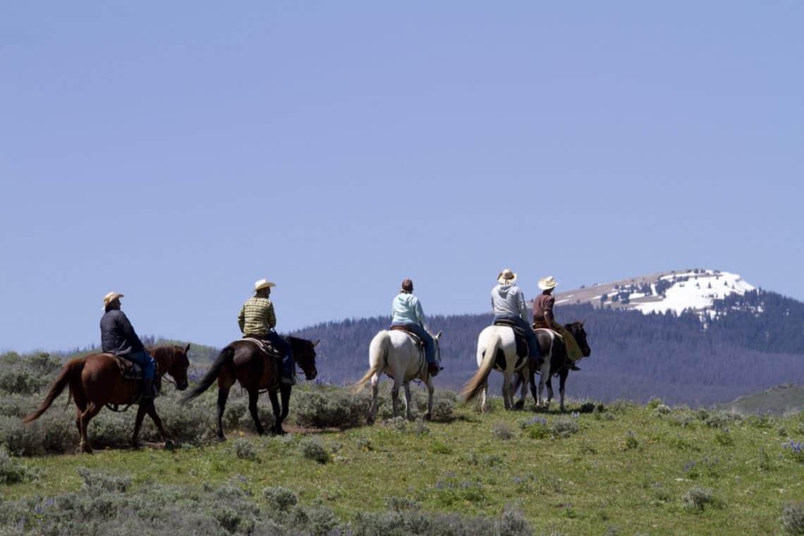 horse back riding c lazy u