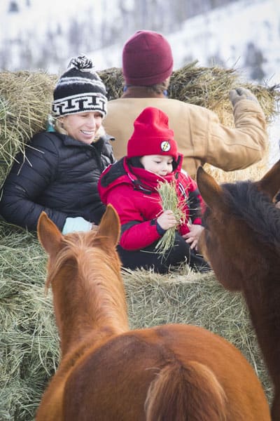 kids riding on hay wagon with the horses begging for hay