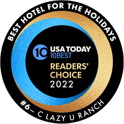 USA Today Award badge for Best Hotel for the Holidays