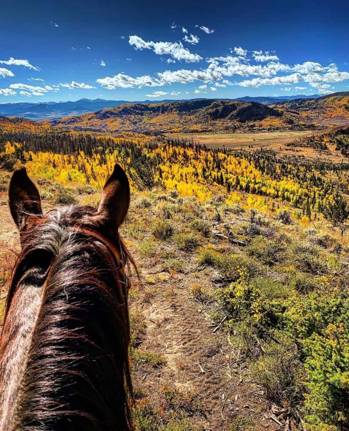 Between the ears shot of Fall at the ranch