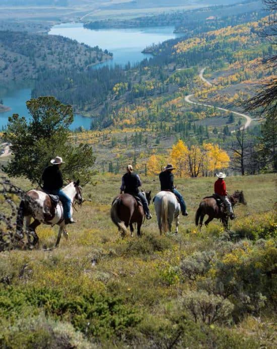 Group riding horses