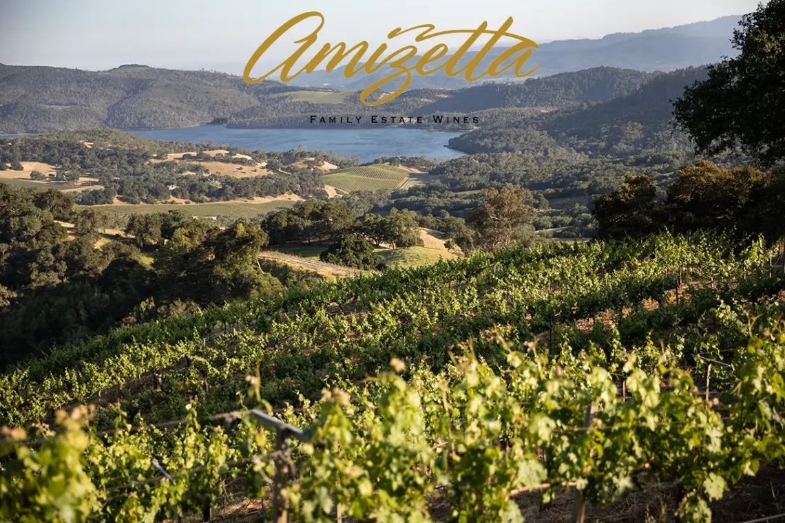 The Amizetta family estate wines landscape