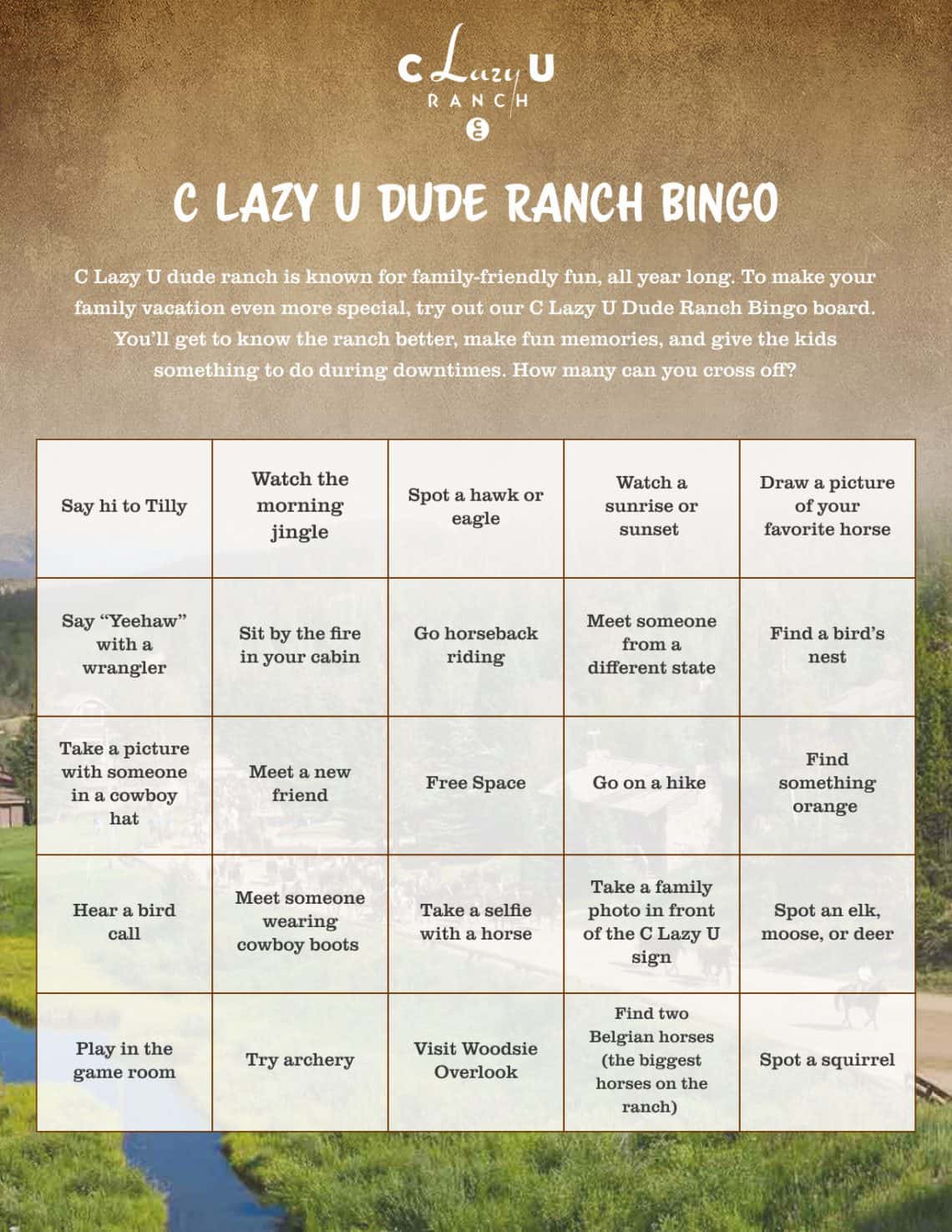 c lazy u bingo