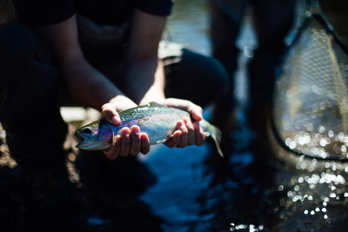 Man holding a fish