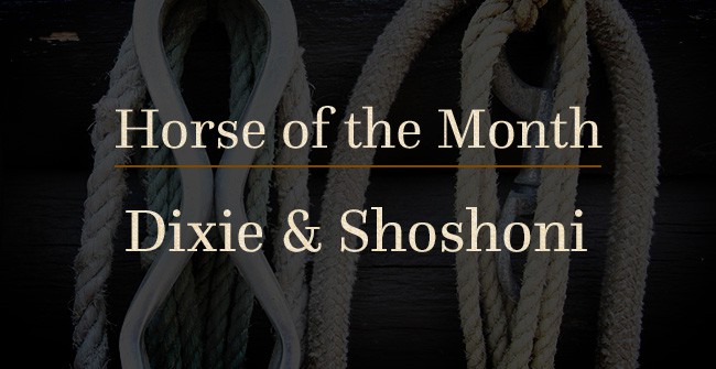 C Lazy U - Dixie and Shoshoni