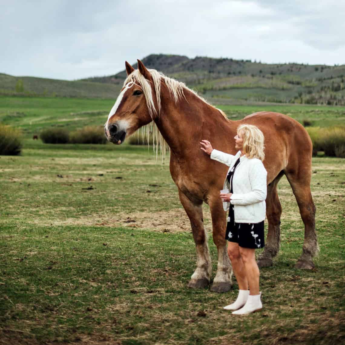 A woman touches Goliath during Horses and Happy Hour