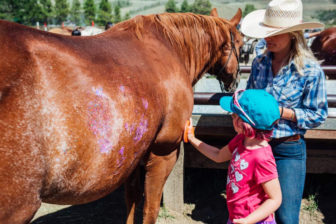 girl petting horse