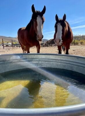 remi near drinking water