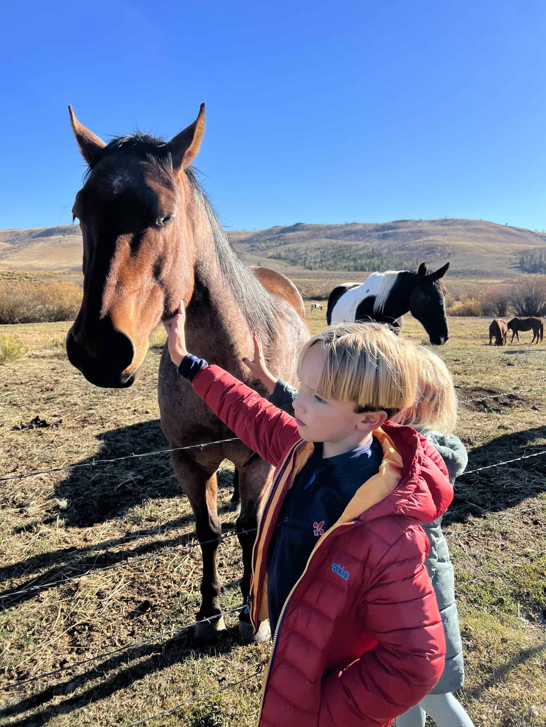 The Little Ranch Hands Club at C Lazy U Ranch