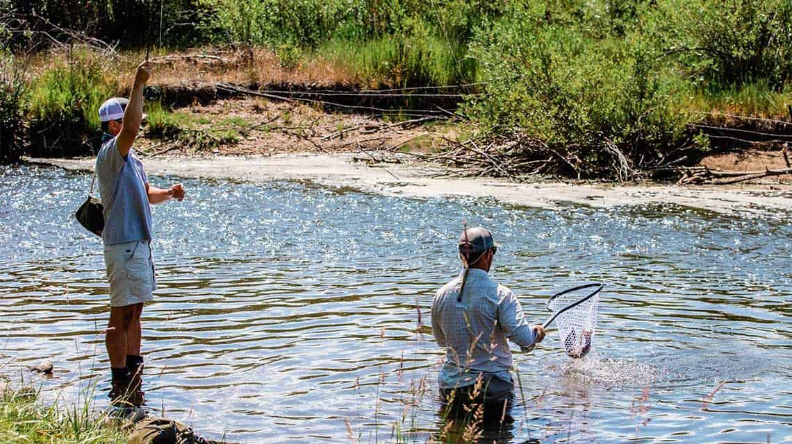 Wading back with fish in the net