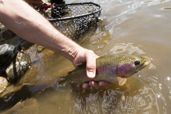 Man holding fish