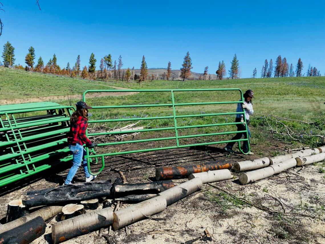 putting in fences