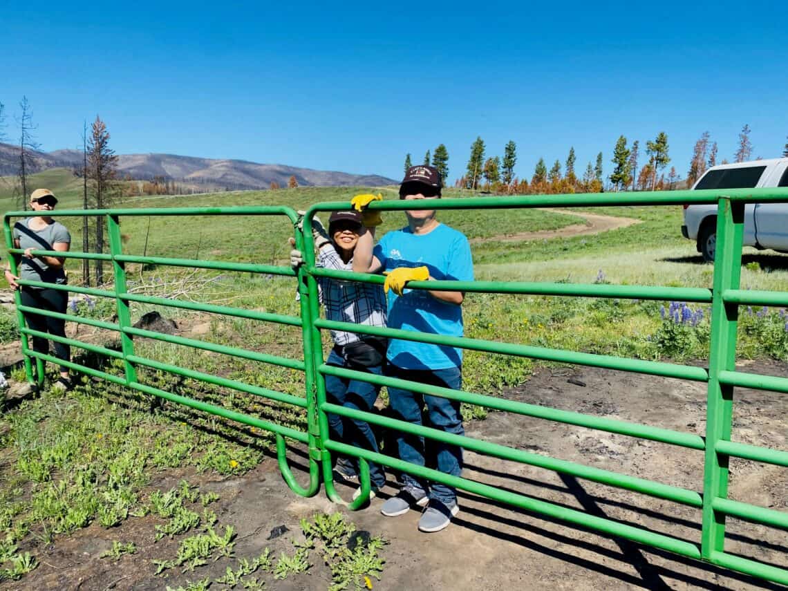 people placing fences in place