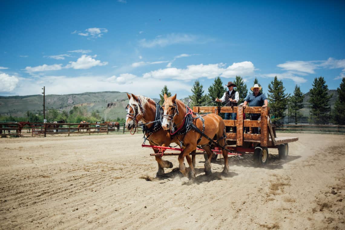 two men riding behind horses