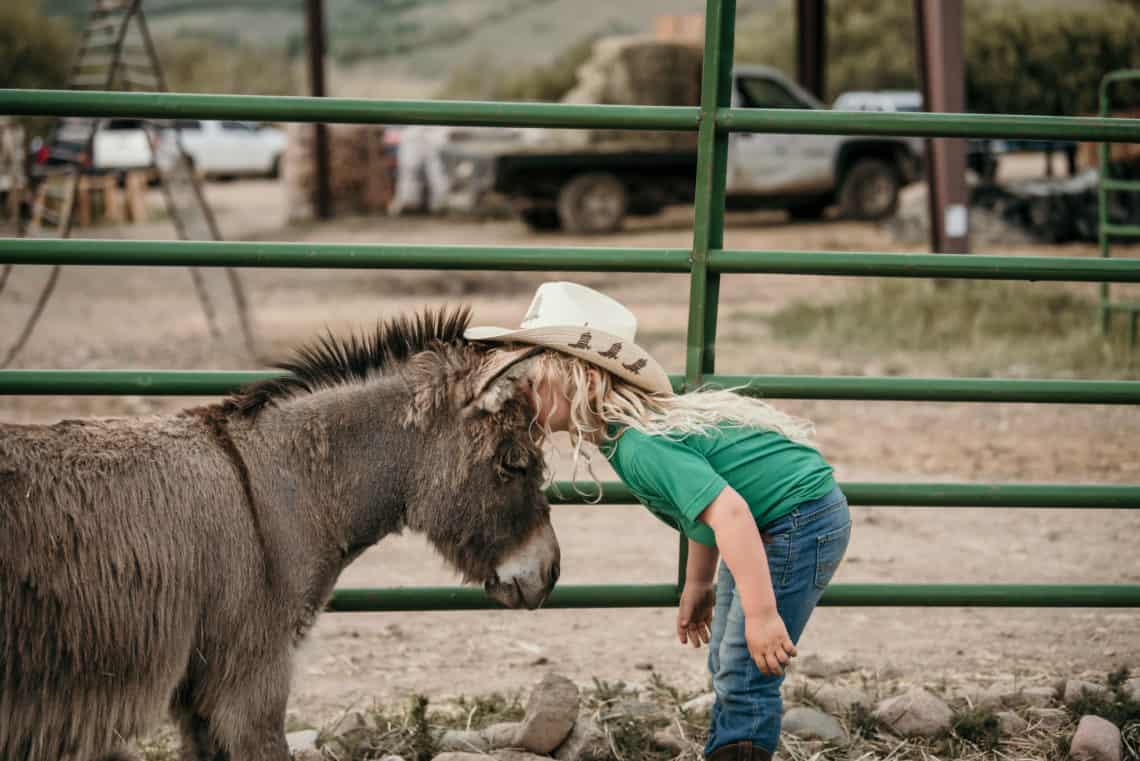 donkey with kid