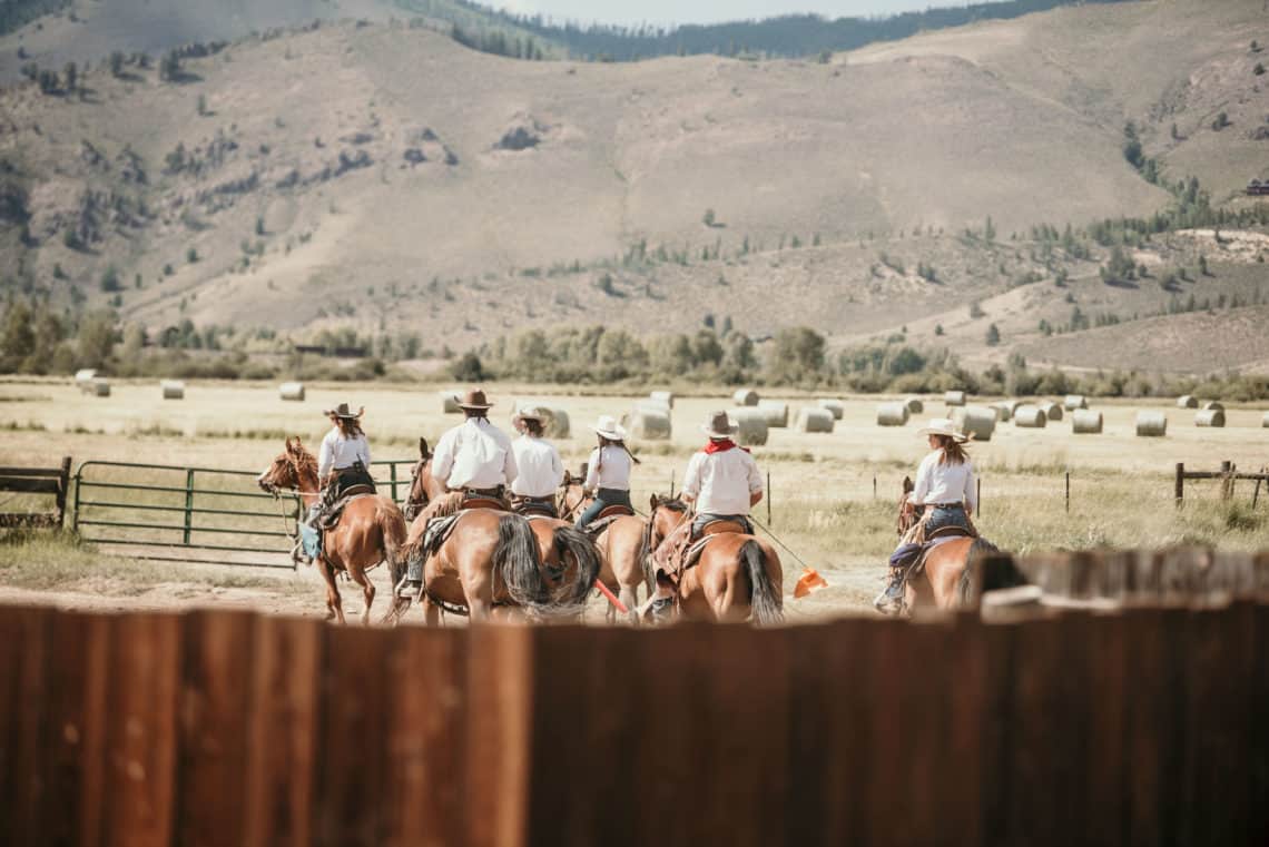 staff riding horses