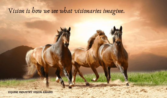 Barbra Schulte is a Finalist for the 2020 Equine Industry Vision Award!