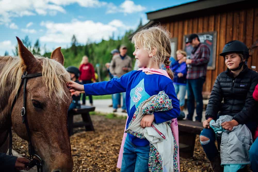 small girl petting brown horse