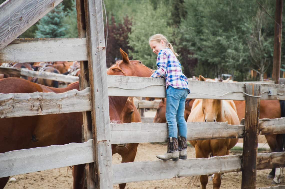 girl greeting horses