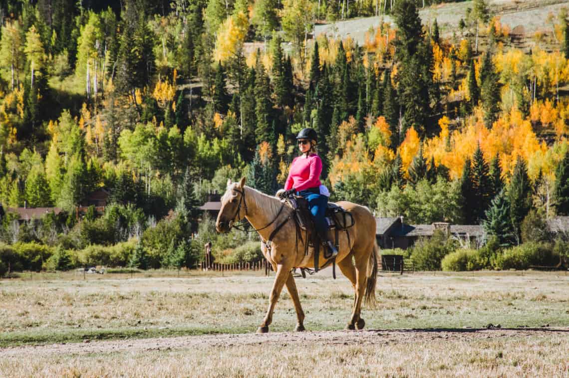 woman on top of horse