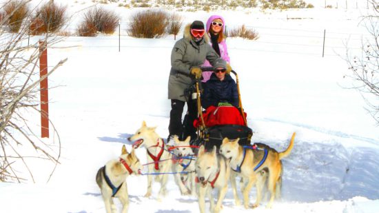 activities-dog-sledding-horizontal