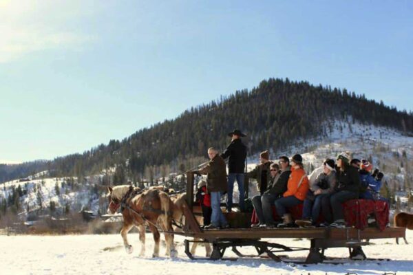 activities-group-sleigh-ride