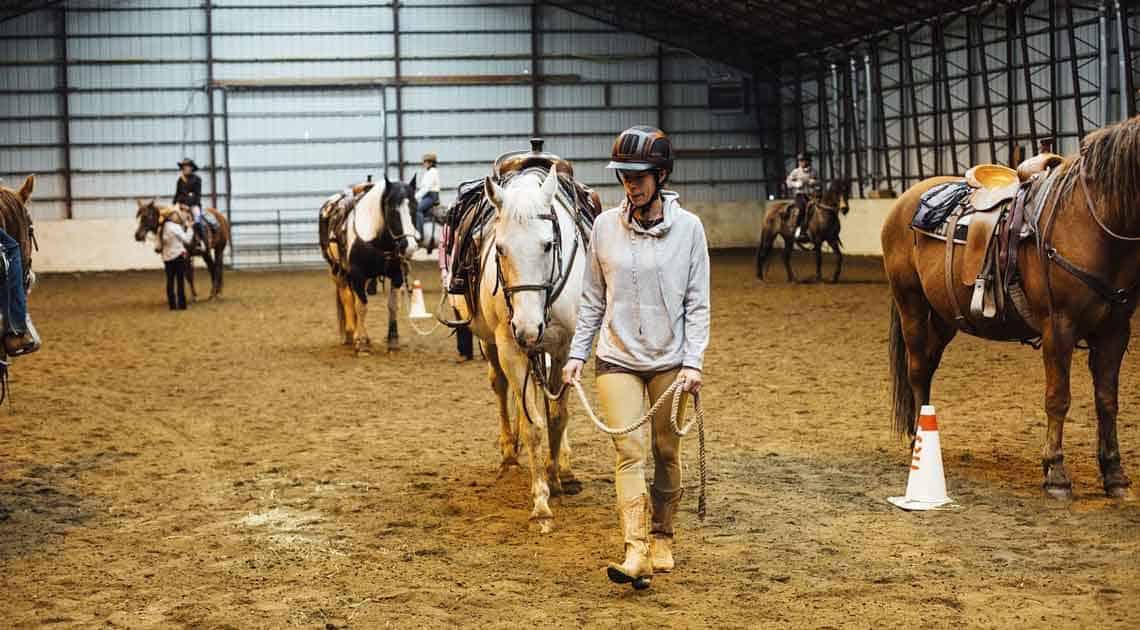 horsemanship groundwork activity