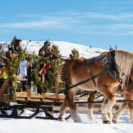 Sleigh being pulled by horses at the ranch