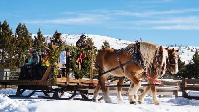 Sleigh being pulled by horses at the ranch