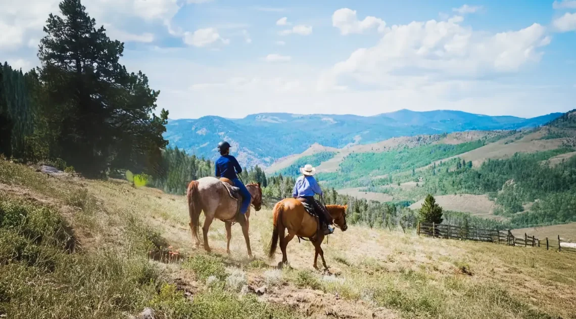 Adults riding on horses