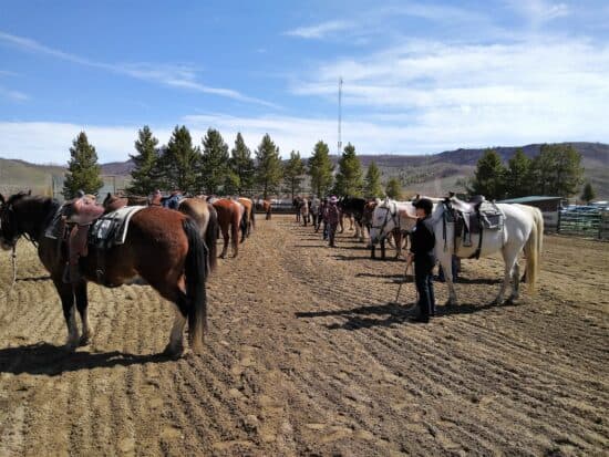 Participants in the well-groomed arena at C Lazy U Ranch