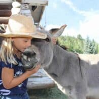 Petey enjoys a kiss from a pretty little girl