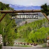 Horses running under main entry sign