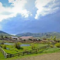 An overview of the Ranch's main compound