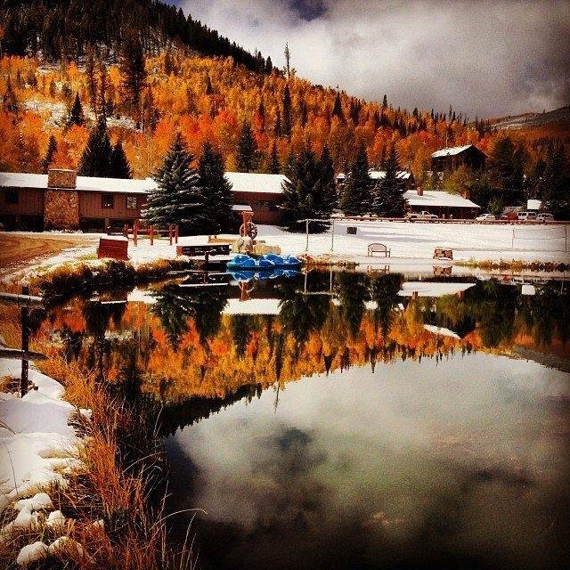 Aspens glow over an early Fall snow
