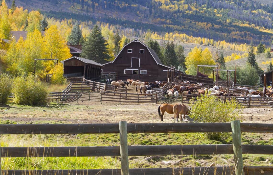 CLU barn