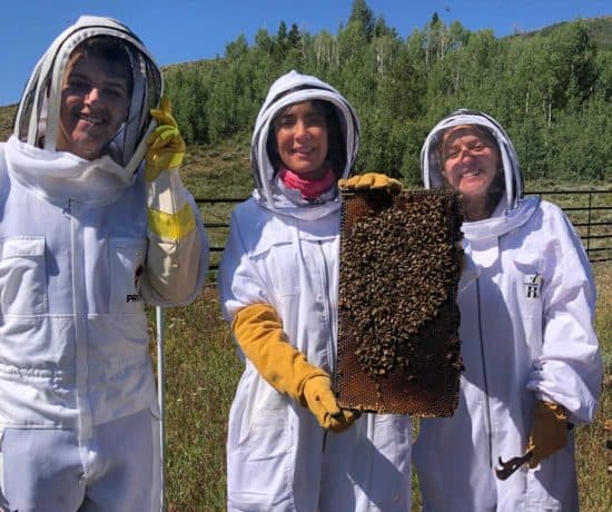 The Beekeepers at C Lazy U Ranch