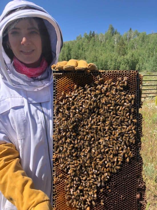 Closeup view of a beehive during a Bee Hive Tour at C Lazy U Ranch