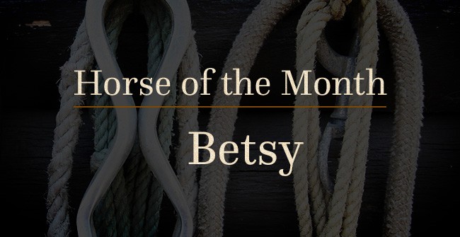 betsy-horse-of-the-month