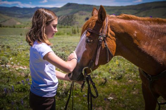 bonding-with-horse