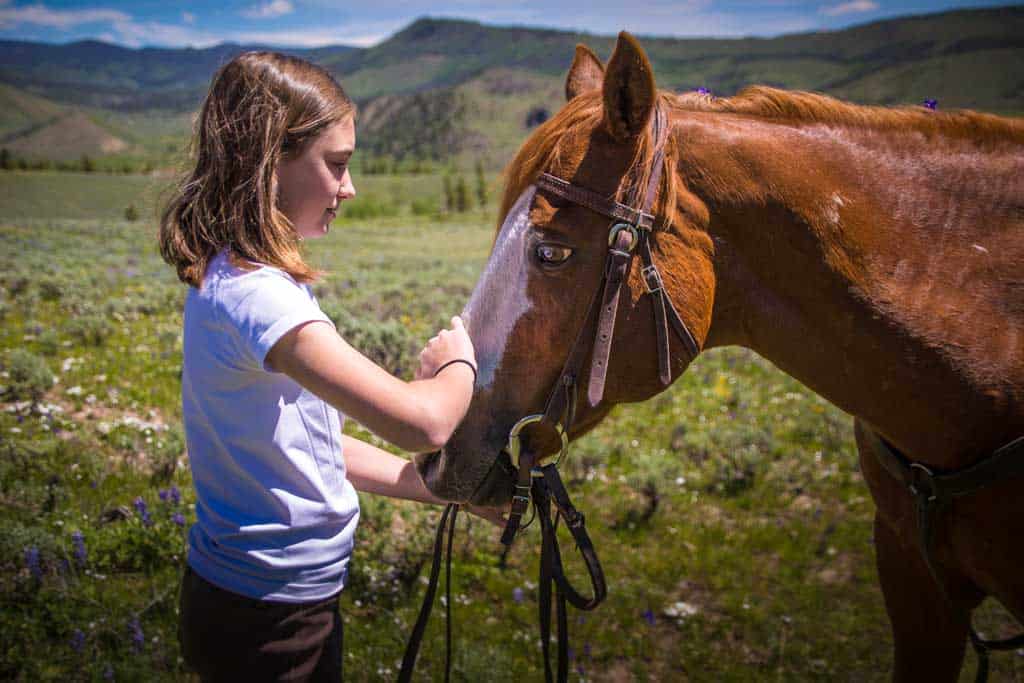 girl petting horse