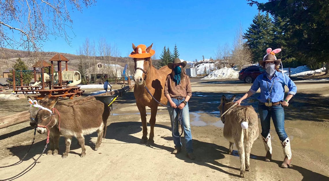 Pebbles the horse poses in her Easter hat with the donkeys in their Bunny Ears at C Lazy U Ranch in Granby, Colorado