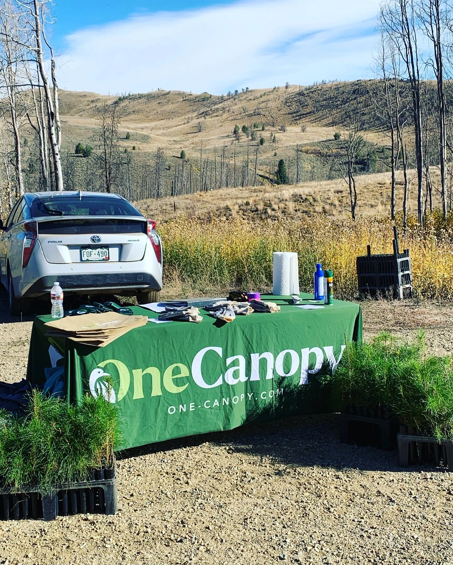 canopy-one-reforestation A OneCanopy stand set up on the land at C Lazy U Ranch.
