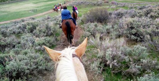 women riding horses on a Cathy Woods retreat