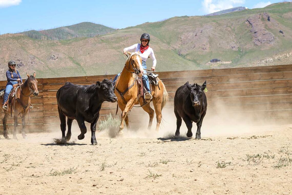 a woman and her horse attempt to separate a cow from the herd