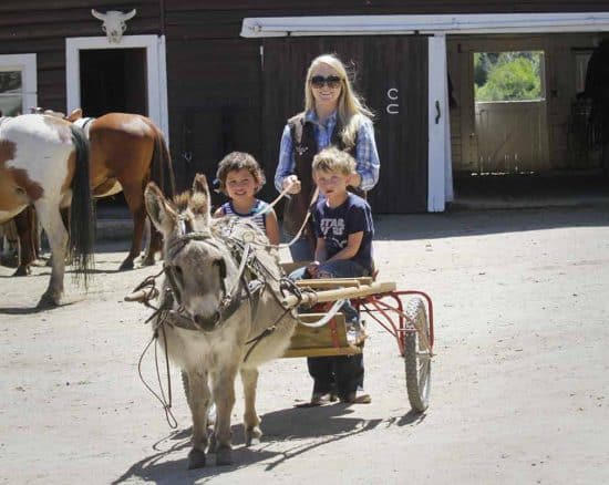 Little kids enjoying a donkey cart ride