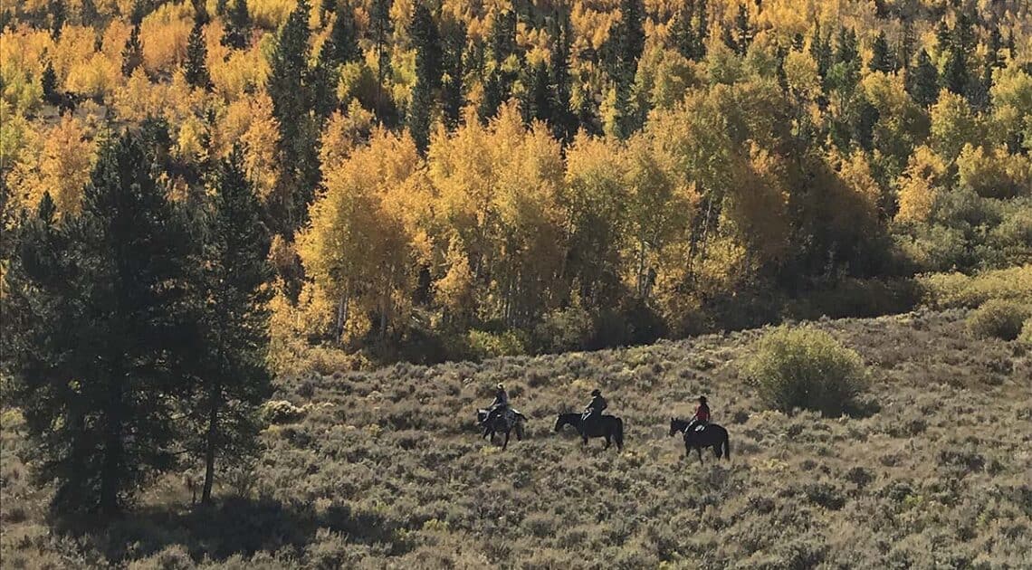 horseback riders ride through sagebrush on the C Lazy U Ranch