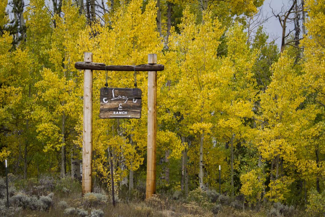 C Lazy U Ranch sign with fall trees in background