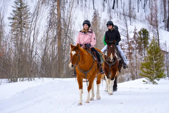 a group of people riding horses along a snowy lane